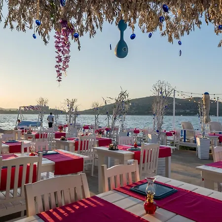 Ξενοδοχείο Akyali Butik Bodrum *